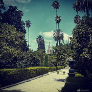 Royal Alcazar Gardens. Seville. Photograph by Miguel Angel