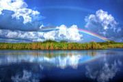 Rue's Rainbow Photograph by Mark Andrew Thomas Rue's Rainbow Photograph by Mark Andrew Thomas