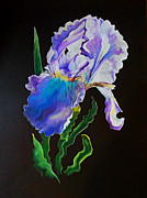 Ruffled Iris Drawing by David Neace CPX Ruffled Iris Drawing by David Neace CPX
