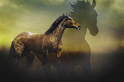 Running Free Photograph by Eleanor Abramson