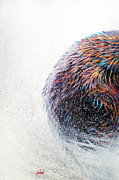 Running Wild Triptych PANEL 1 LEFT PIECE Painting by Teshia Art