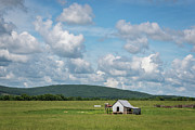 Rural Midwest Photograph by Andrea Silies