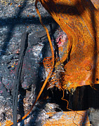 Rust Scapes #6 Photograph by Jessica Levant