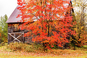 Rustic barn in fall colors Photograph by Jeff Folger