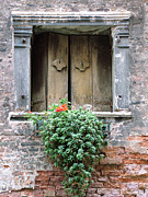 Rustic Wooden Window Shutters Photograph by Donna Corless