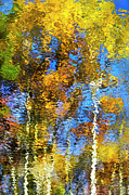 Safari Mosaic Abstract Art Photograph by Christina Rollo