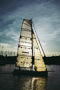 Sailboat in Front of Sun in Harbor Photograph by Andreas Berthold Sailboat in Front of Sun in Harbor Photograph by Andreas Berthold