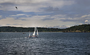 Sailing Photograph by John Christopher