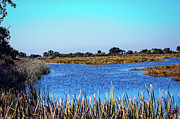 Saint Marks National Wildlife Refuge Lagoon Photograph by DB Hayes