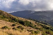 San Carlos Ranch Photograph by Derek Dean