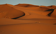 Sand in Motion Photograph by Laurie Lago Rispoli