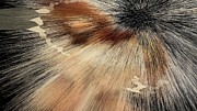 Sandy Light Speed Digital Art by Stephane Poirier