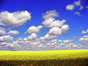 Saskatchewan Summer Digital Art by Darcy Dietrich