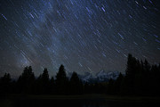 Schwabacher Stars Photograph by Jeff Stoddart Schwabacher Stars Photograph by Jeff Stoddart