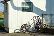 Scooters and Shadows Photograph by Tana Reiff