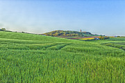 Scrabo Photograph by Jim Orr