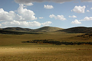Screen Saver Photograph by DArcy Evans