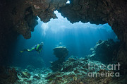 Scuba Diver In Cave Photograph by Reinhard Dirscherl