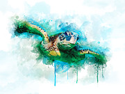 Sea Turtle  Digital Art by Aged Pixel