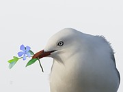 Seagull Painting by Ivana Westin Seagull Painting by Ivana Westin