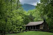 Secluded Photograph by Andrea Silies
