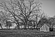 Secluded Photograph by Bonnie Bruno