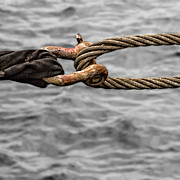 Secured To Wharf Photograph by Tony Locke