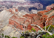Sedimentary Red Photograph by Nicholas Blackwell