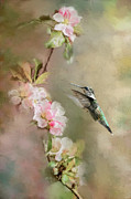 Seeking Nectar Photograph by Jai Johnson