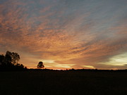 September Morning Photograph by Peggy King