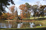 Serene Pond Photograph by Allen Nice-Webb Serene Pond Photograph by Allen Nice-Webb