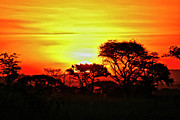 Serengeti Sunset Photograph by Bruce Block Serengeti Sunset Photograph by Bruce Block