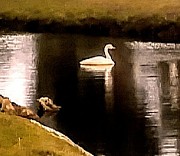Serenity Photograph by Suzanne Berthier