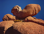 Setting Hen Rock Photograph by Tom Daniel
