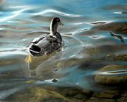 Shallow Reflections Painting by David Vincenzi