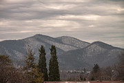 Shenandoahs in Winter Photograph by Arnold Hence