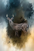 Shiloh Buck Photograph by Jai Johnson