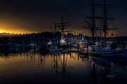 Ship Harbor Morning Photograph by Bill Posner