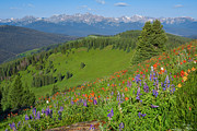 Shrine Ridge Morning Photograph by Aaron Spong