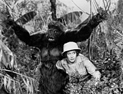 Silent Film Still: Animal Photograph by Granger Silent Film Still: Animal Photograph by Granger