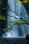 Silver Fall Photograph by Andrew Kumler