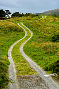 Single Track Gravel Road upon a Hill Photograph by Andreas Berthold