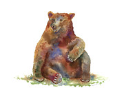 Sitting Bear Painting by Amy Kirkpatrick