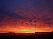 Skagit Valley Washington 2009 Photograph by Leizel Grant