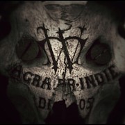 Skull Photograph by Dave Edens