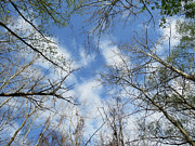 Sky above Photograph by Azthet Photography