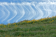 Skydance -- Clouds and Wildflowers at Carrizo Plain National Monument, California Photograph by Darin Volpe Skydance -- Clouds and Wildflowers at Carrizo Plain National Monument, California Photograph by Darin Volpe