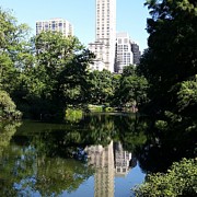 Skyscraper Reflection Photograph by Vic Ritchey