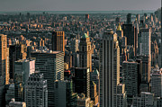 Skyscrapers lit at sunset Photograph by Franz Zarda