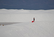 Sledding in Shorts Photograph by Colleen Cornelius